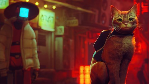 Stray ganha chega em novembro no Switch